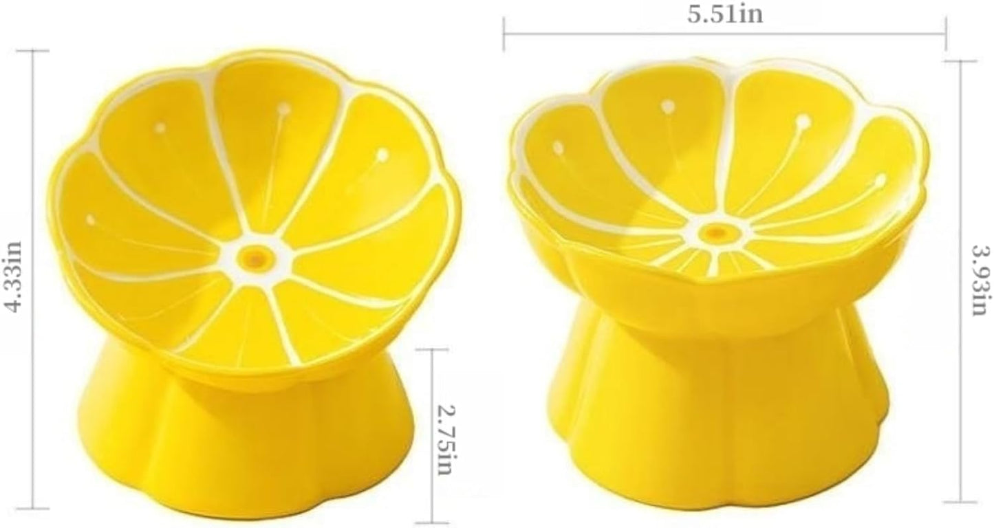 dog water bowl