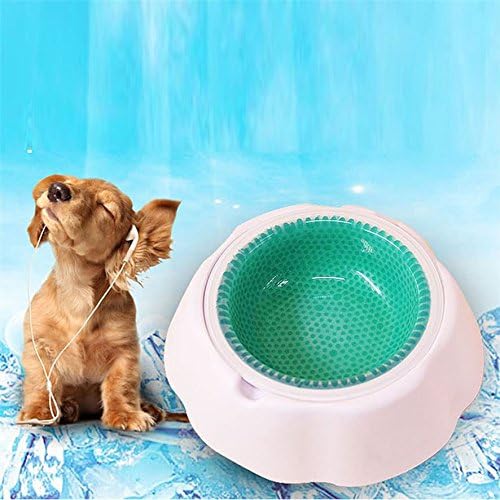 Frosty Cooling Bowl