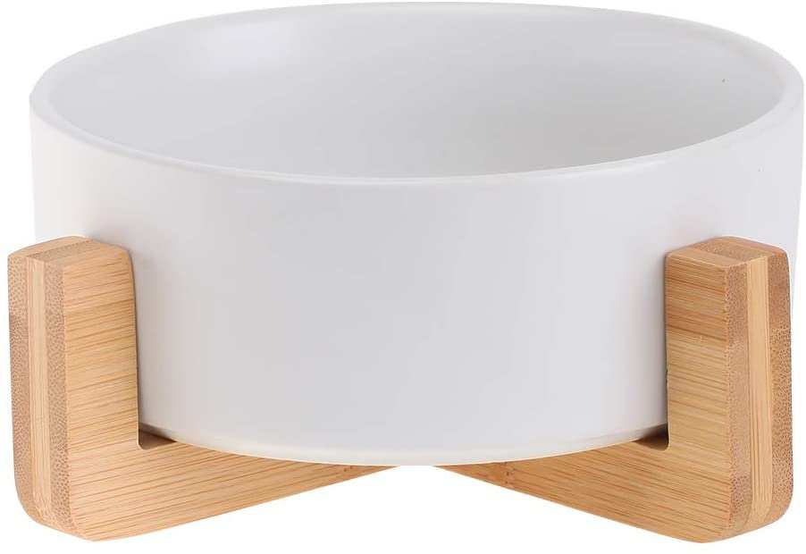 water bowl for cats