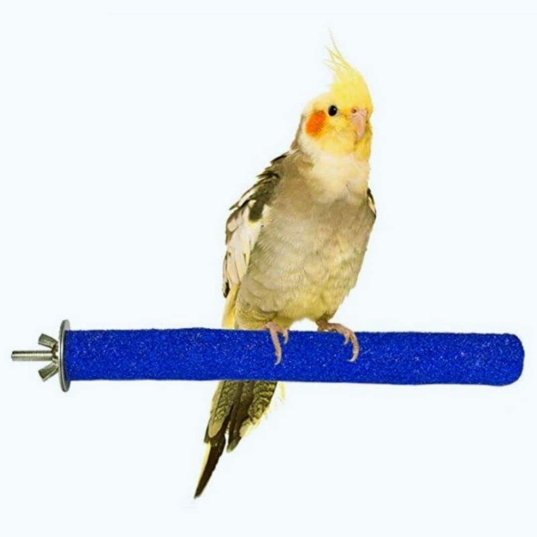 Petsary Sandy Bird Paws Paradise: Parrot Pedicure Perch! (Blue)