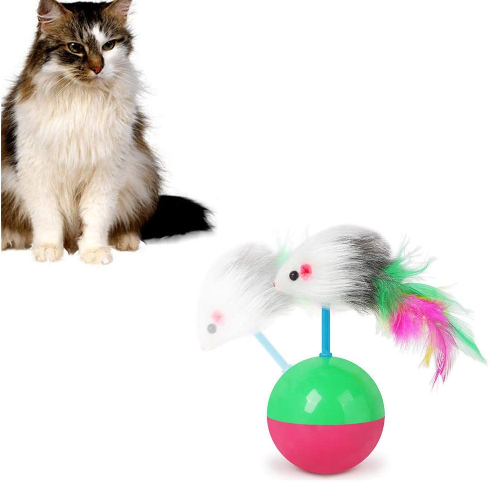cat products