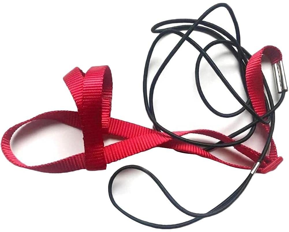 pet toys
