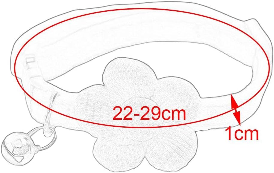 Best Pet Collars
