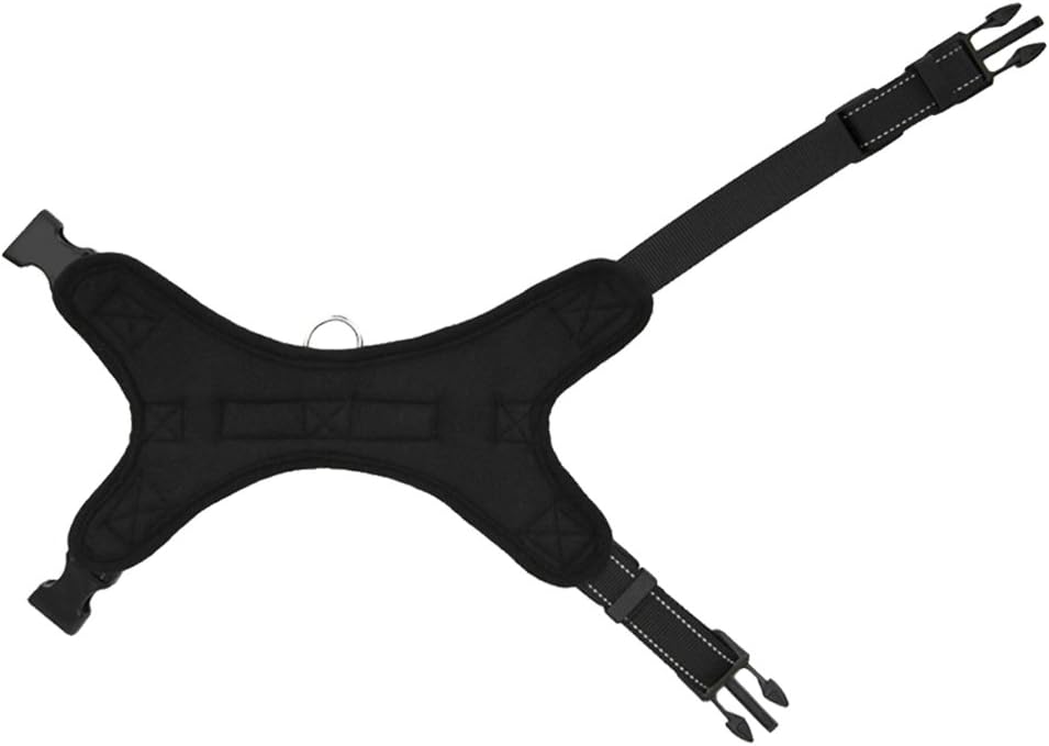 cat harness