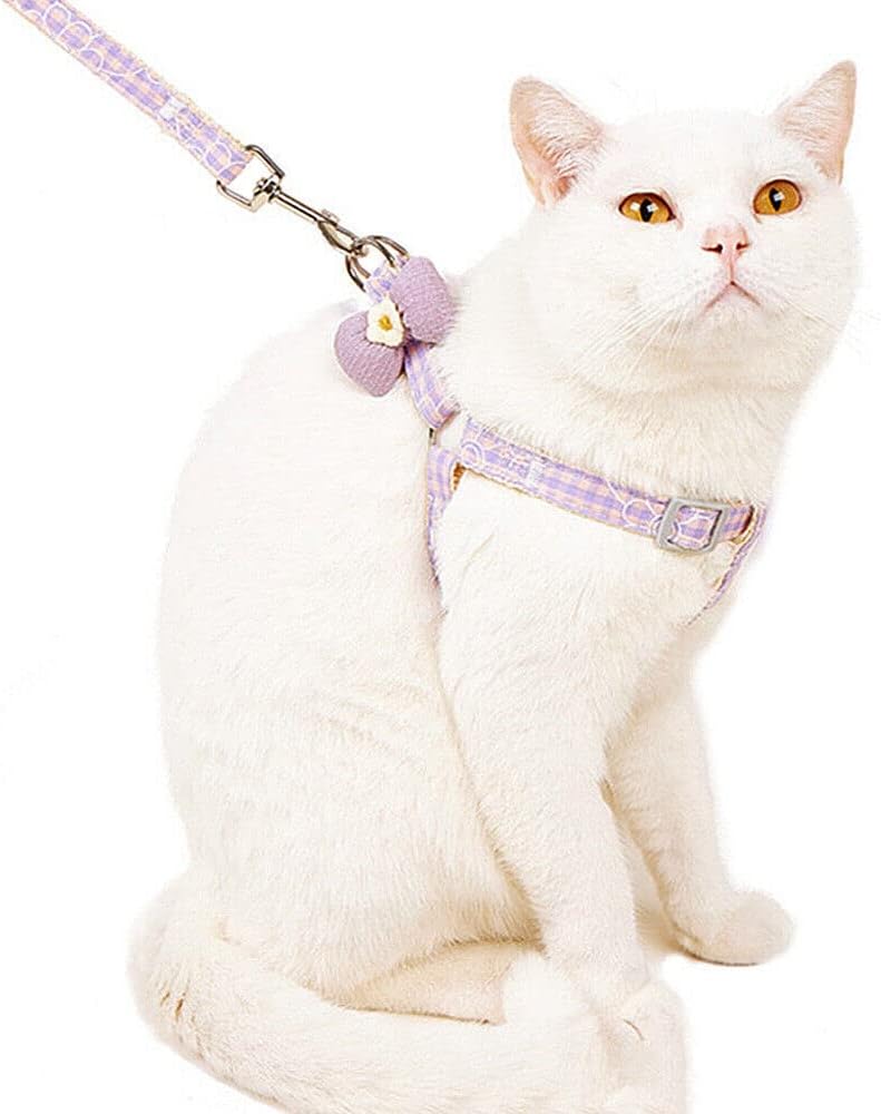 Polka Dot Realness Harness and Leash Set! (Green & Pink)