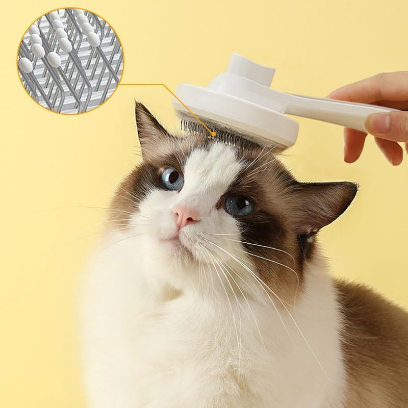 dog grooming