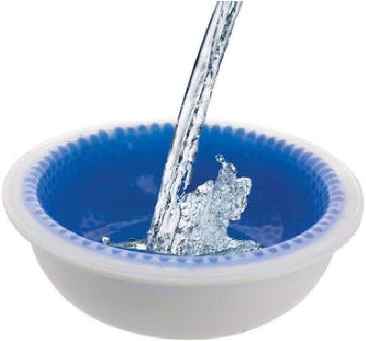 dog food bowl