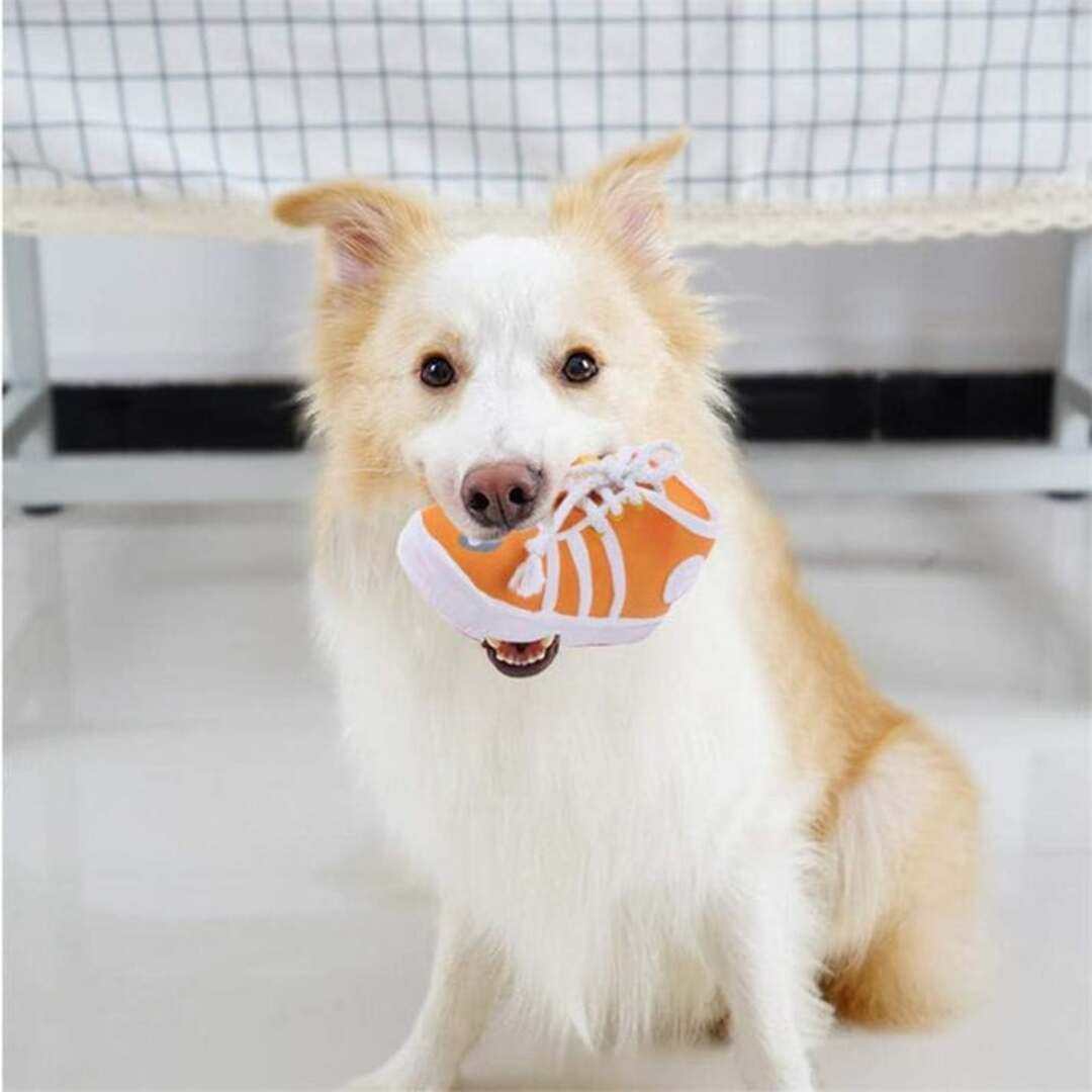 puppy squeaky toys