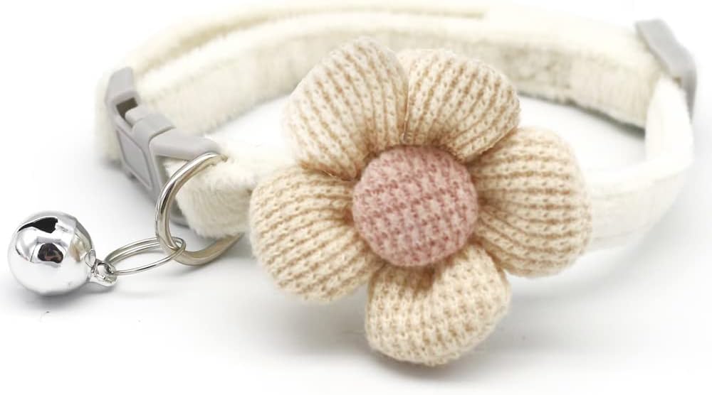 pet collar