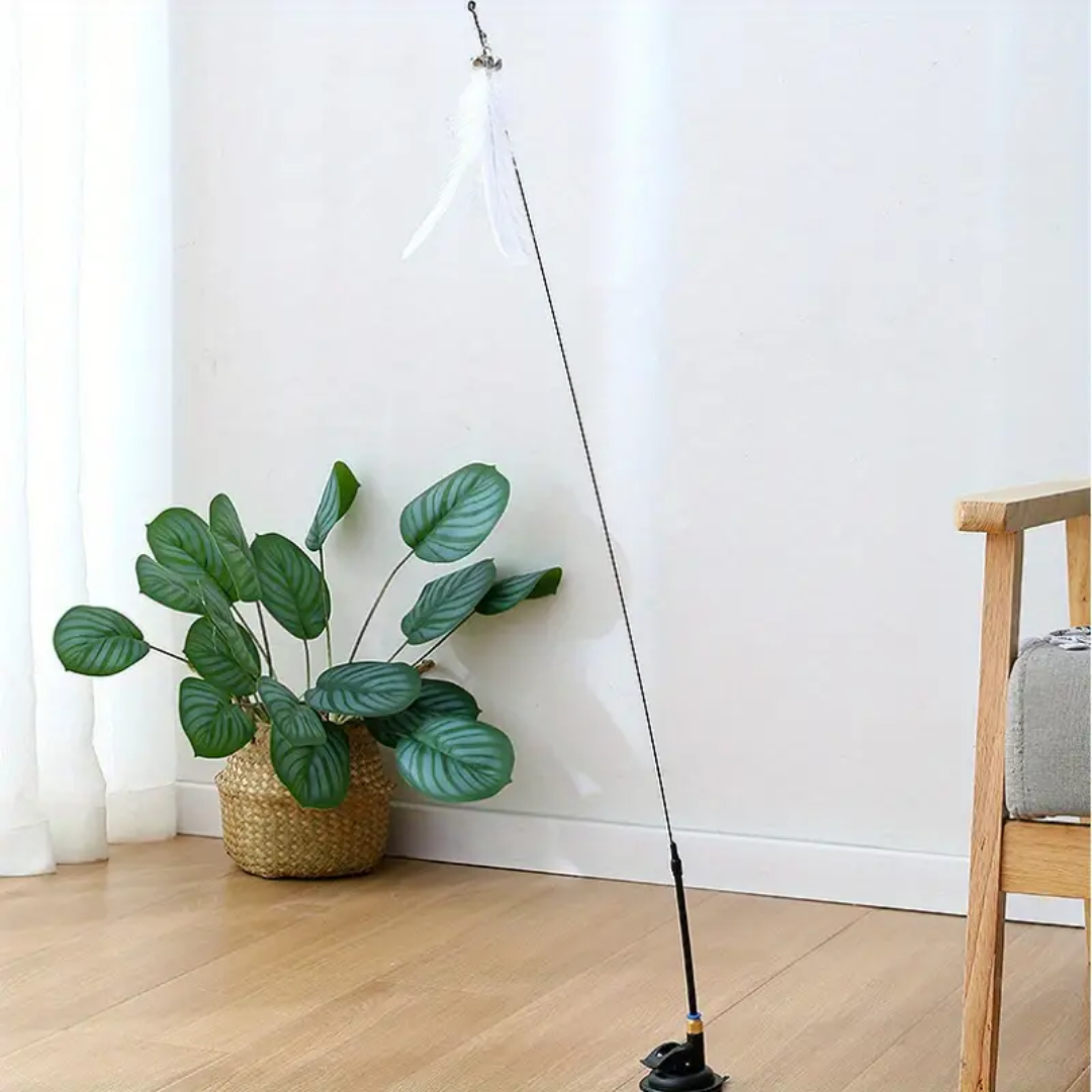 cat toy
