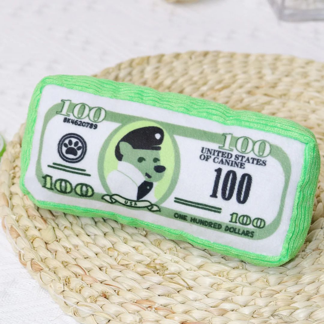 Playtime Riches - Plush Money Toy!