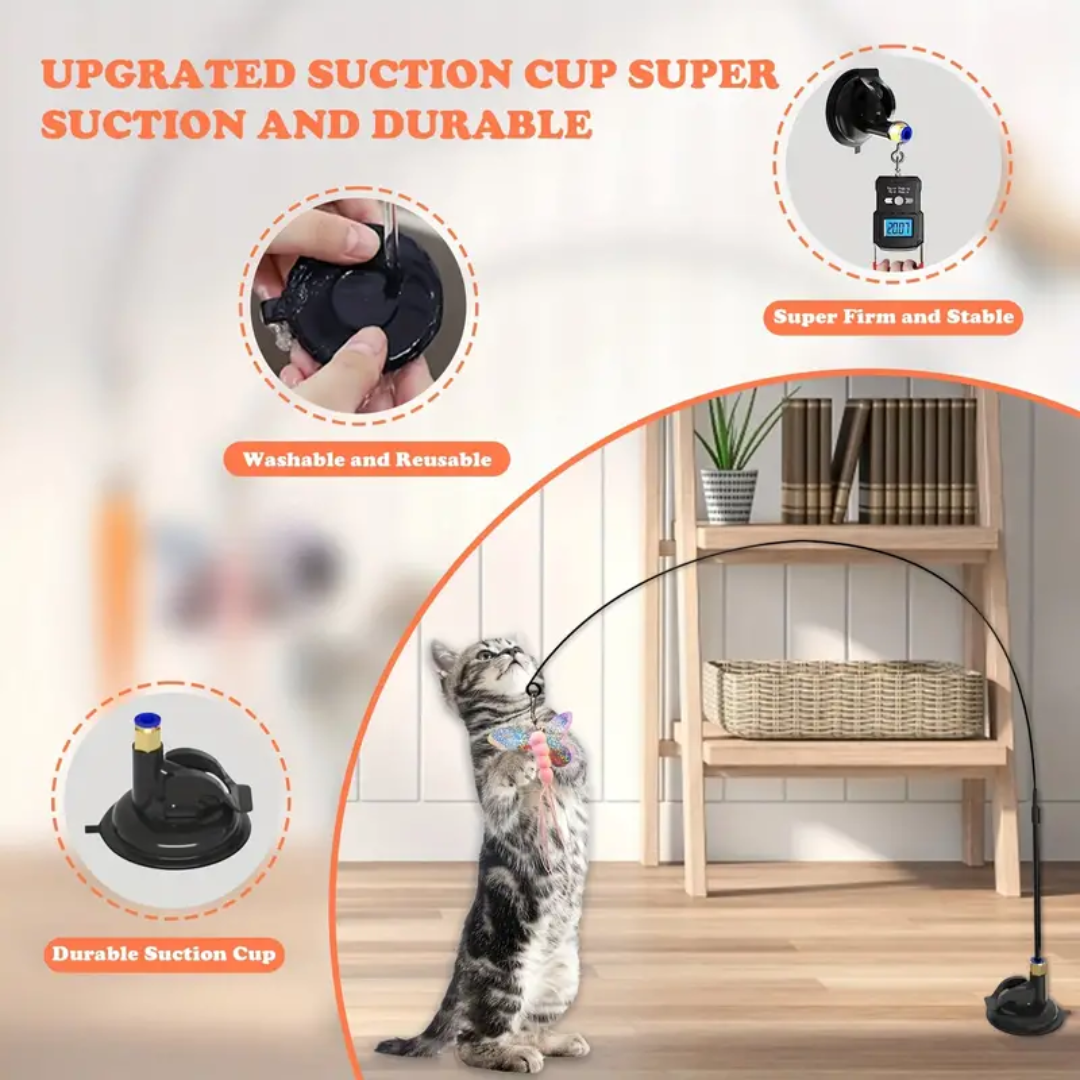 cat toys interactive