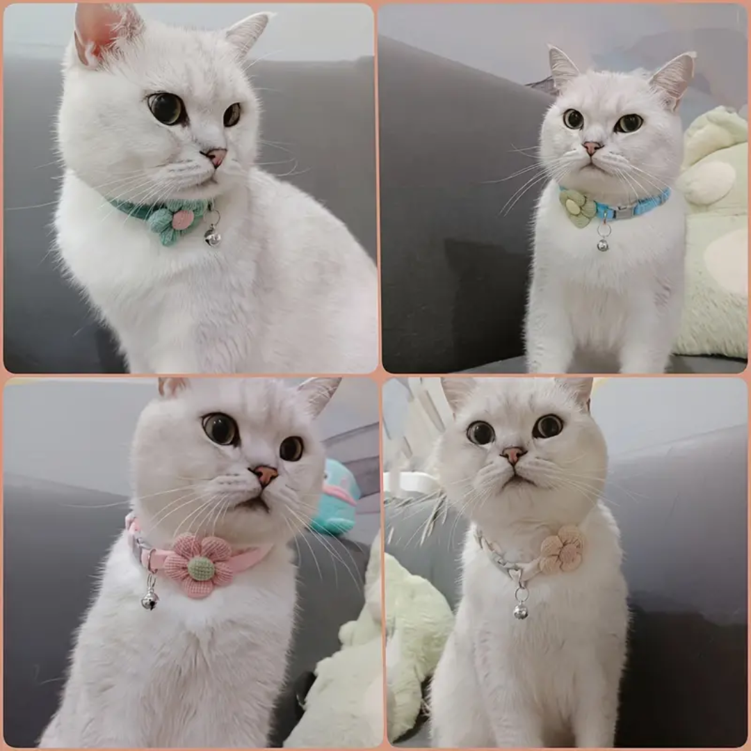 Dog Collar