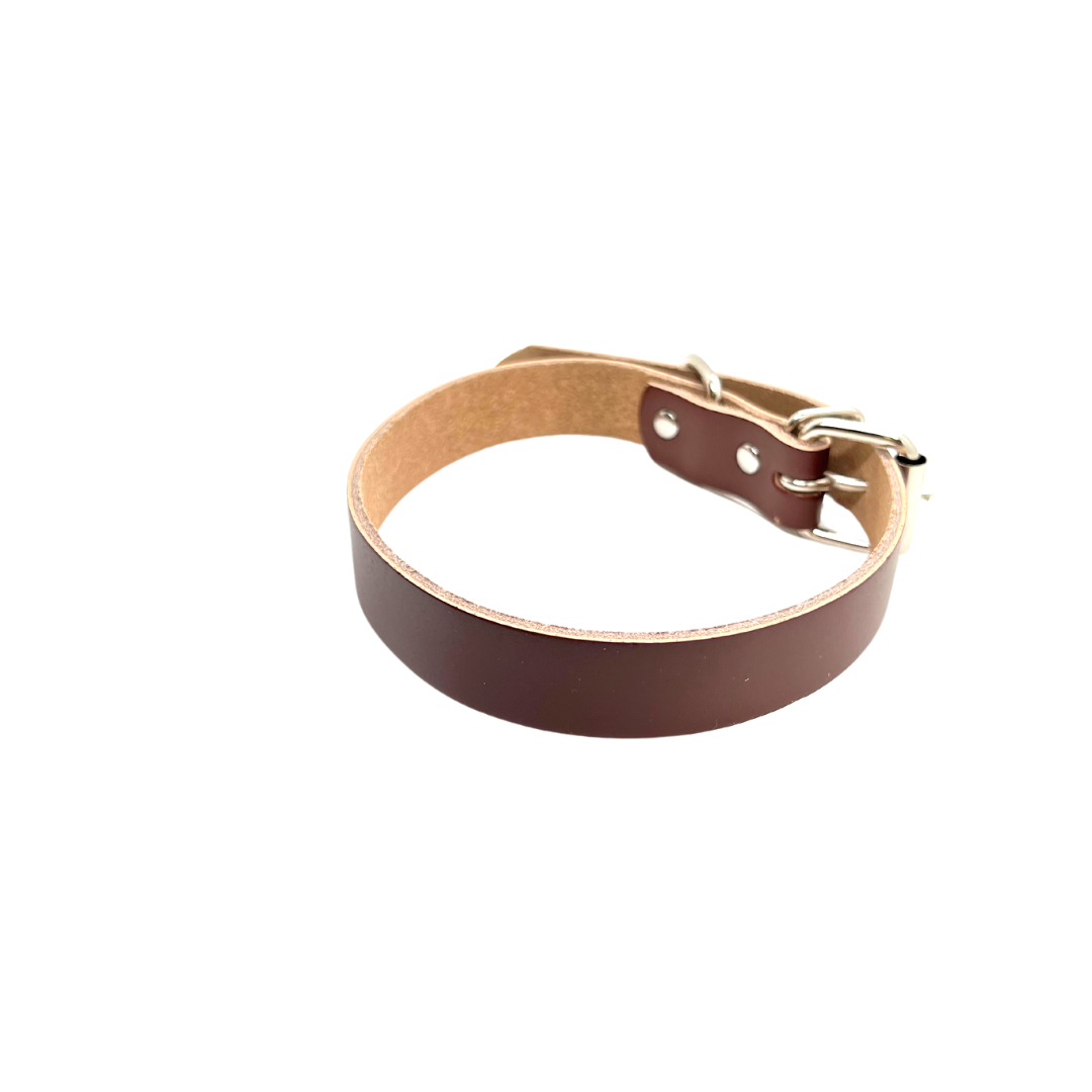 dog collar small