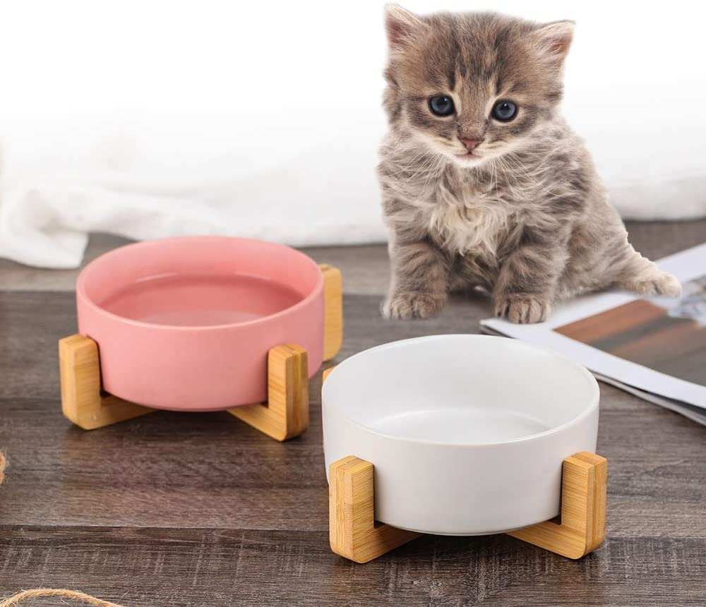 pet food bowls