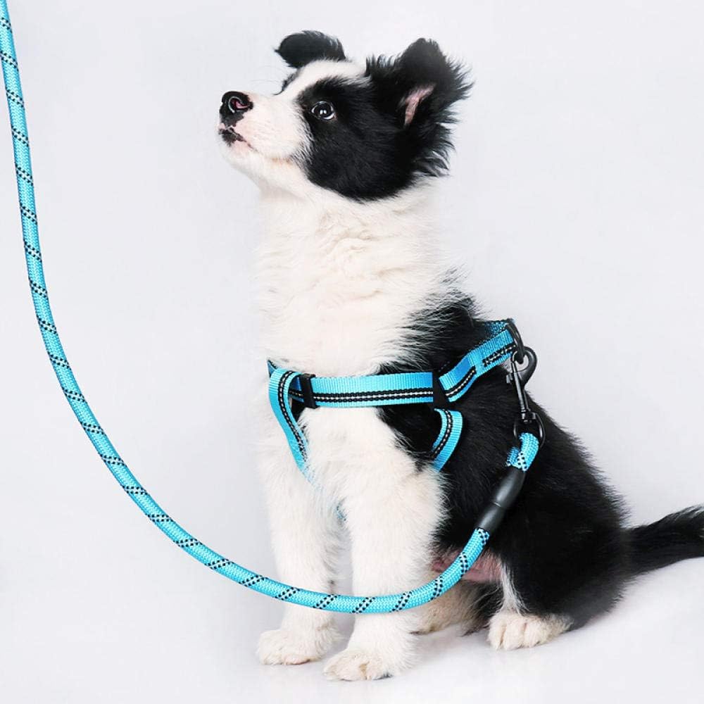 soft dog collar