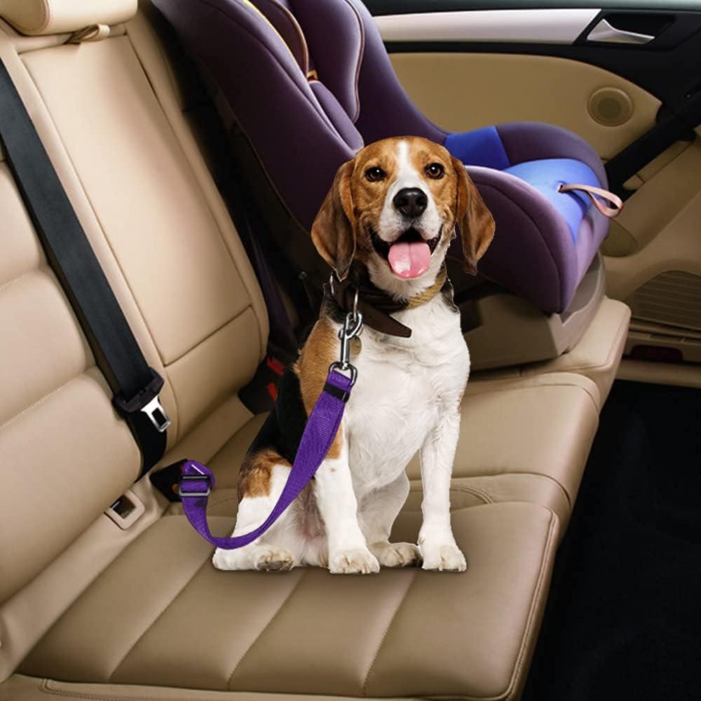 Nylon dog leash