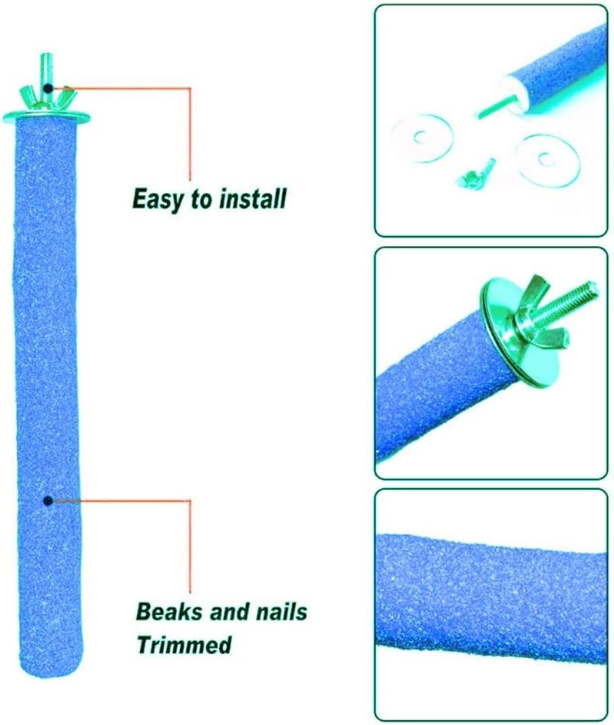 Petsary Sandy Bird Paws Paradise: Parrot Pedicure Perch! (Blue)