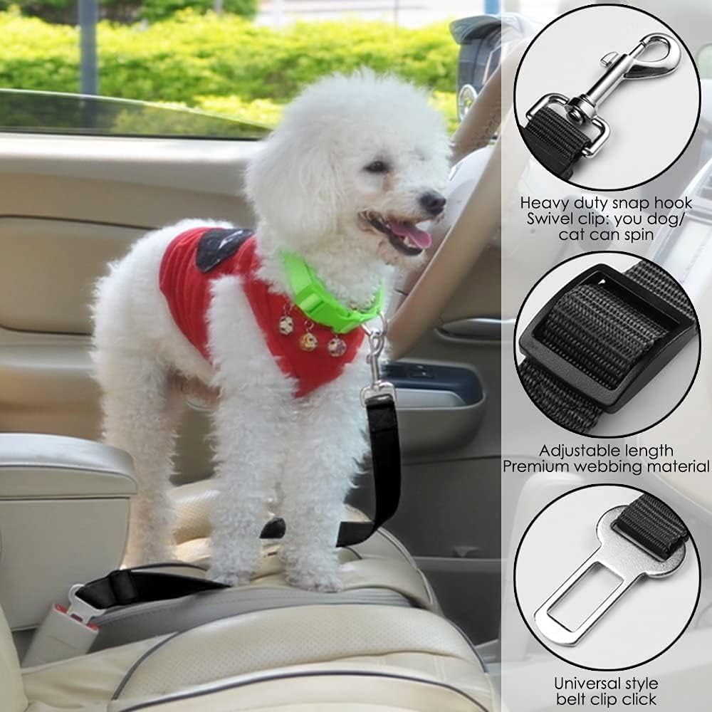 Long dog leash