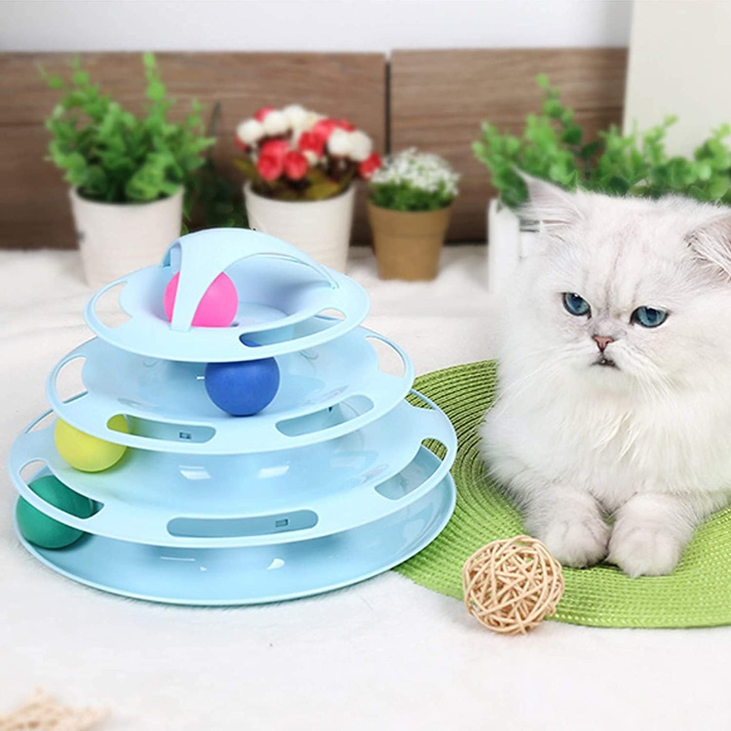 cat ball toy