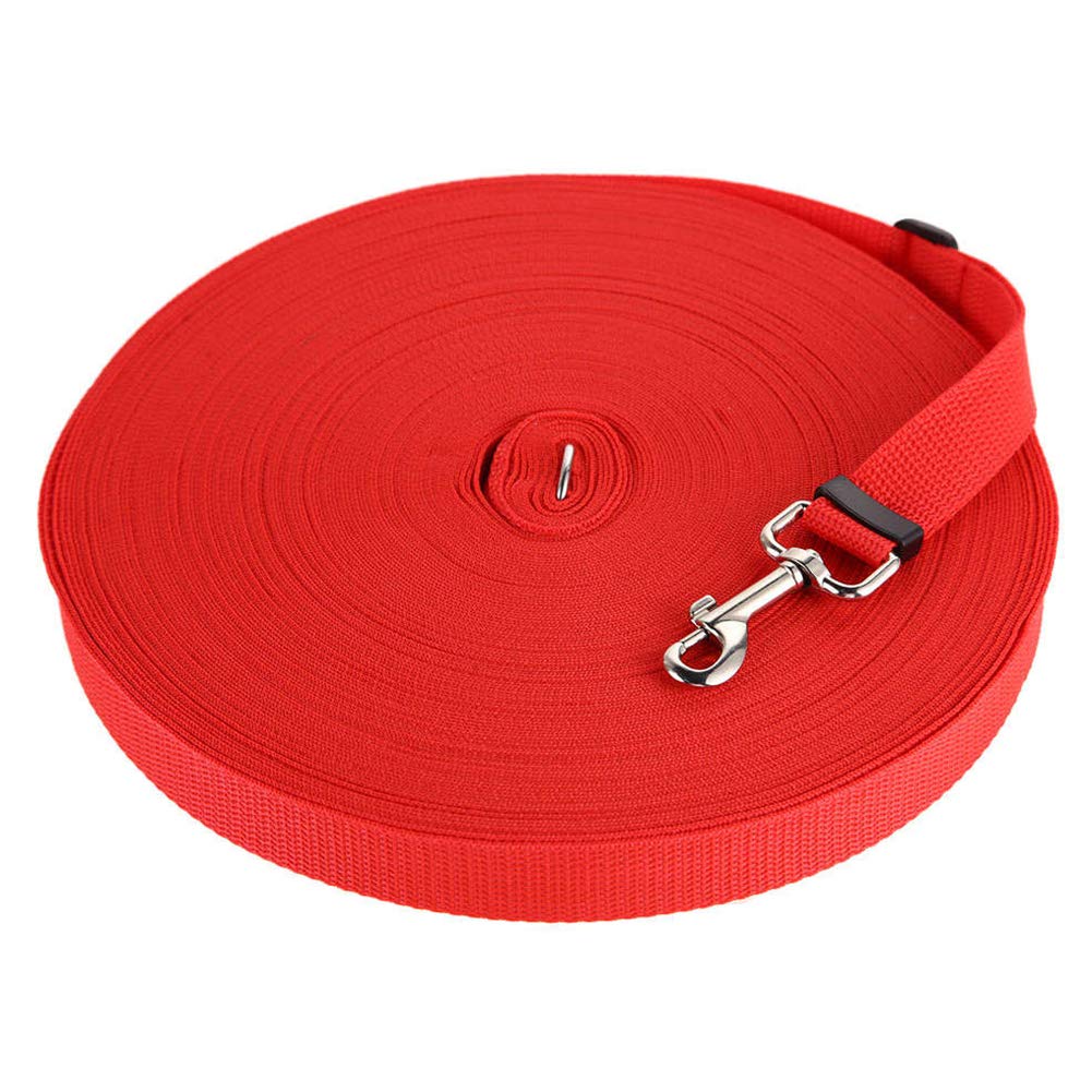 red dog leash
