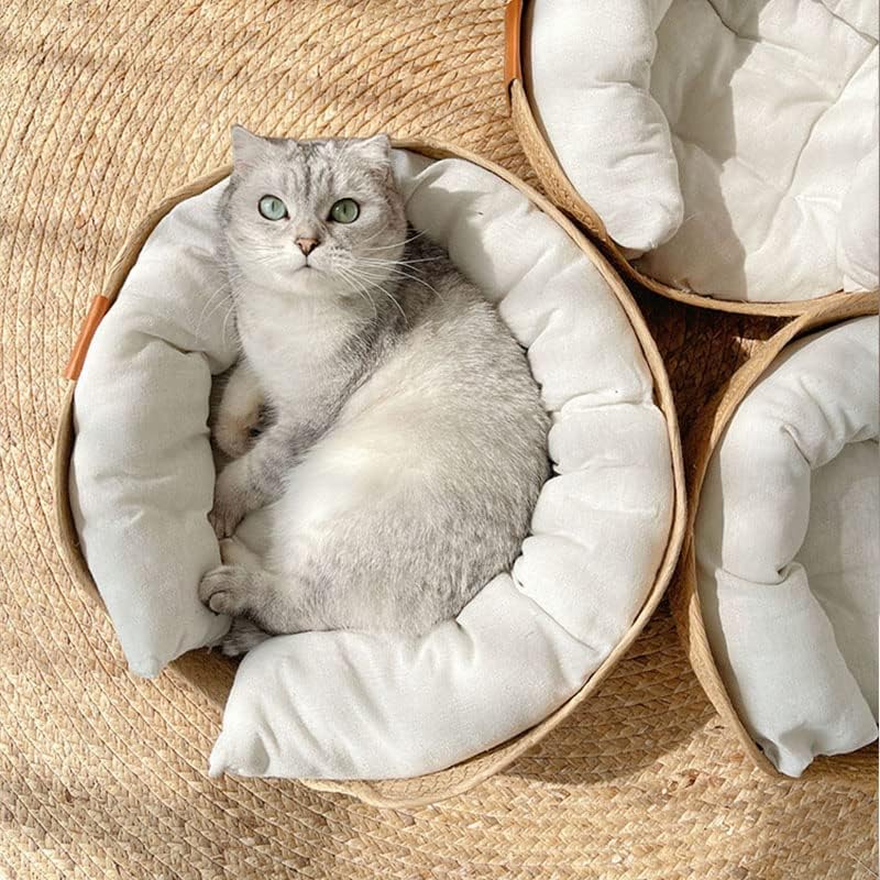washable cat bed