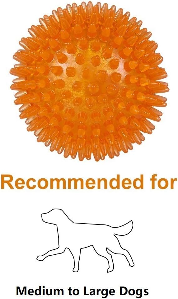 Hedgehog Spikey Squeaky Balls - Set of 2