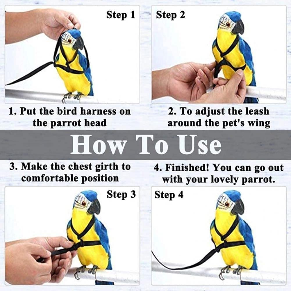 bird toy