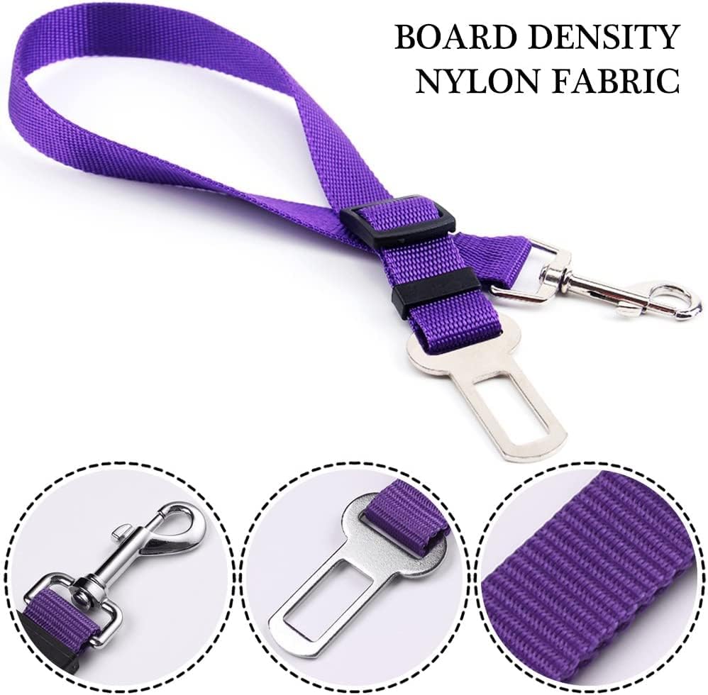 Training dog leash