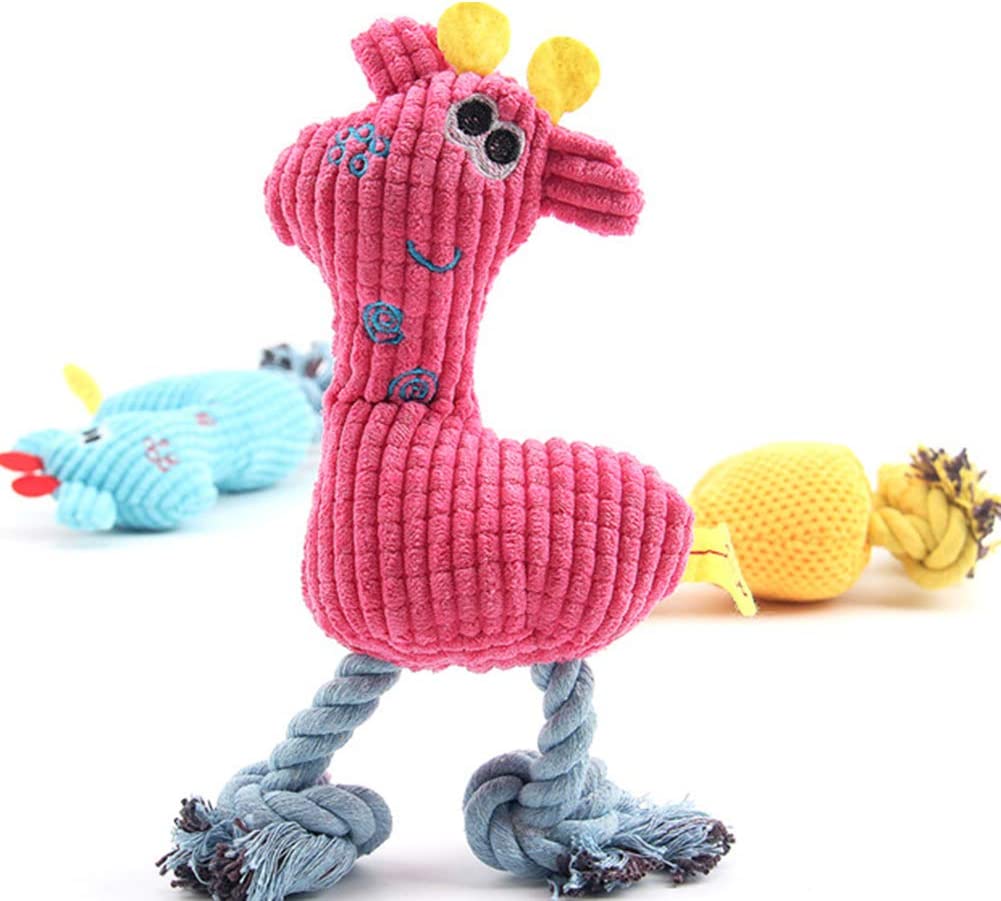dog chew