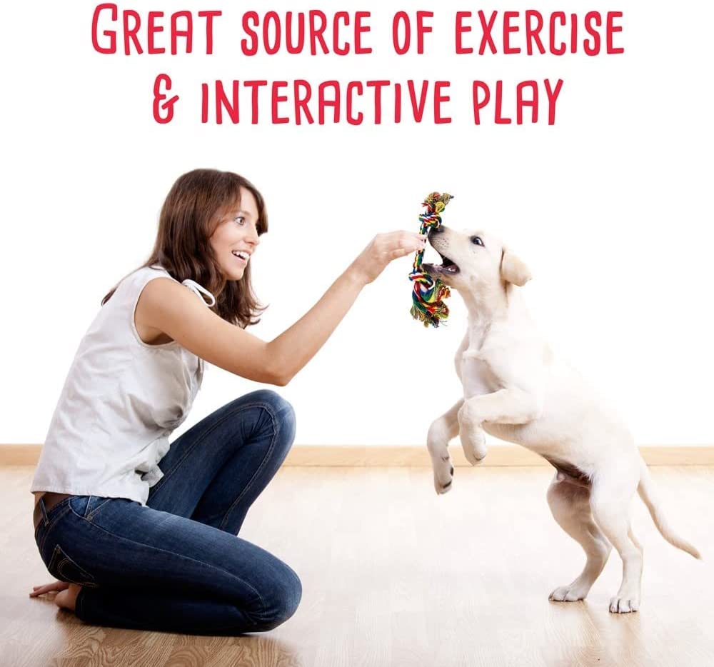 durable dog toys
