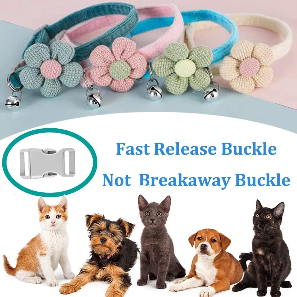 dog collar small