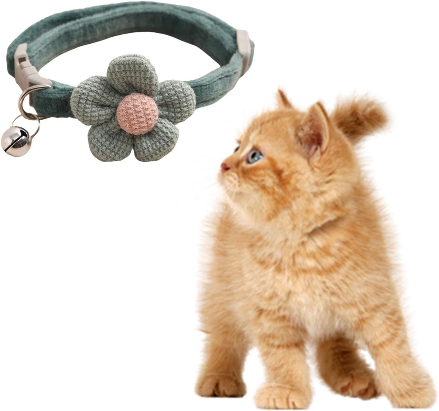 comfortable dog collar