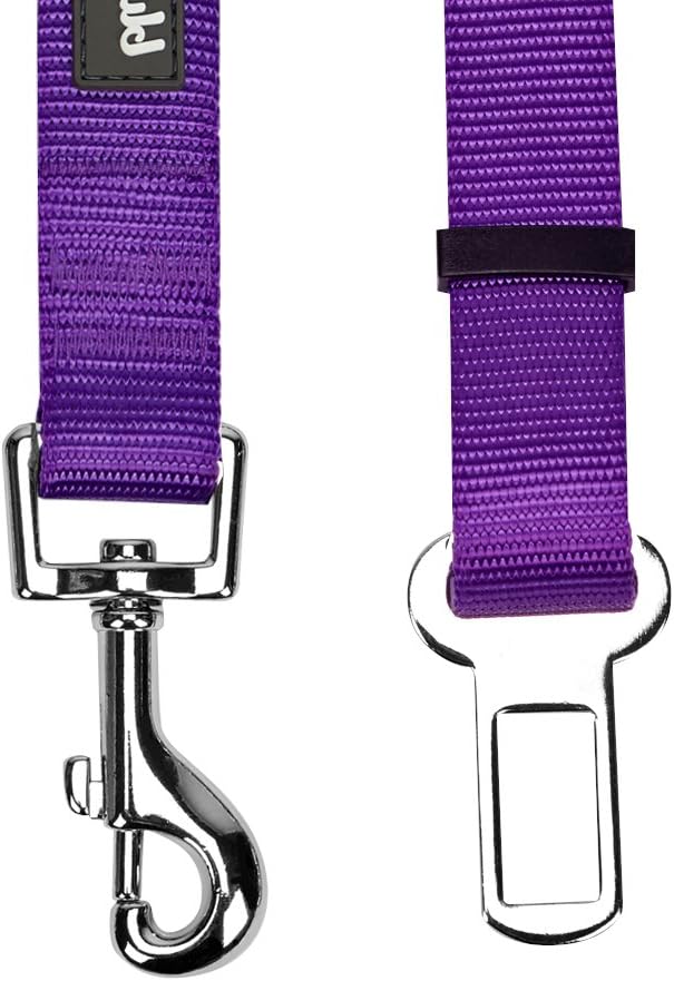 Large dog leash