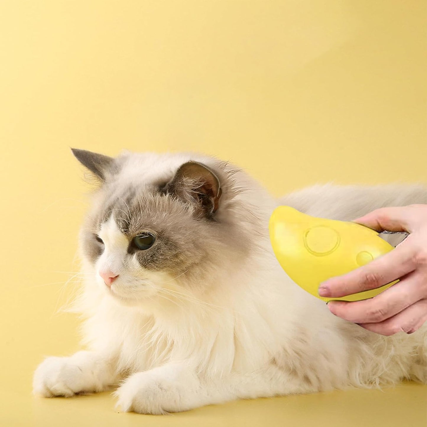 pet grooming kit