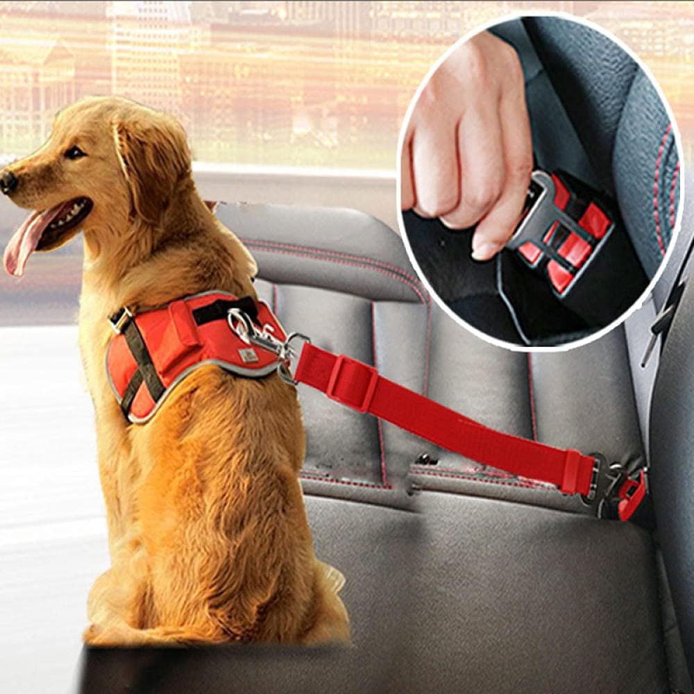 Soft dog leash