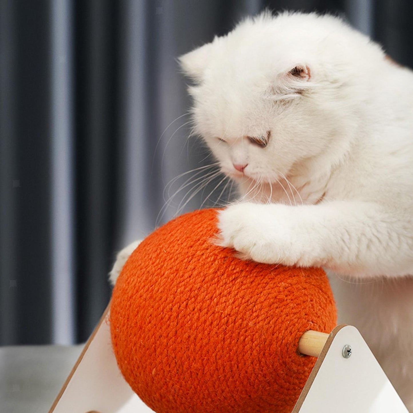 Cats Scratcher Bowl