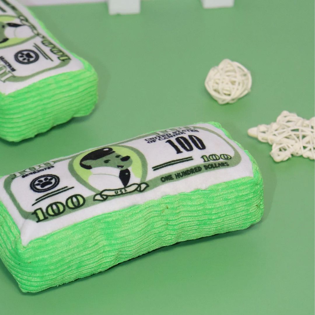Playtime Riches - Plush Money Toy!