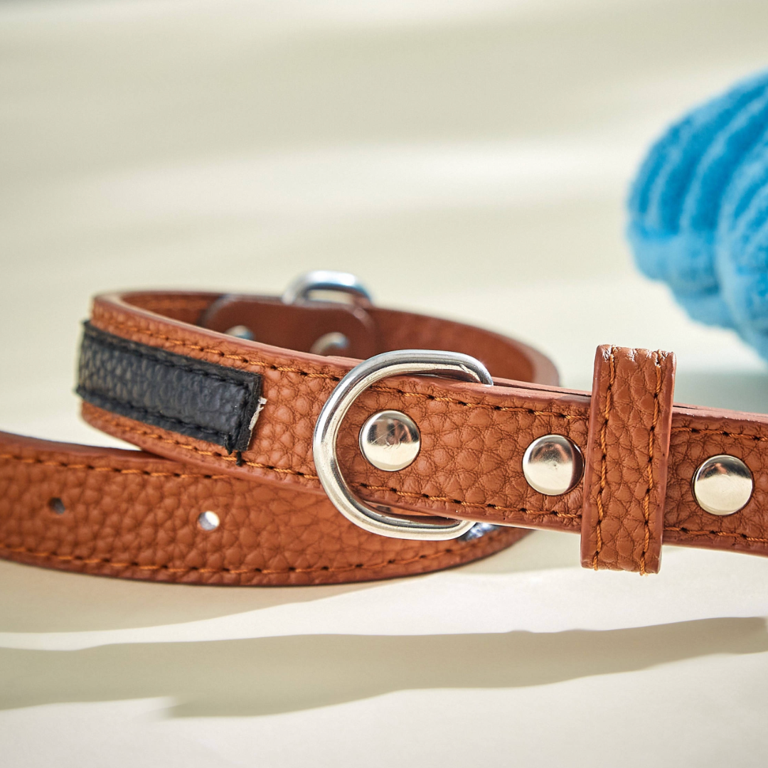 Stylish Leather Collars (Large)