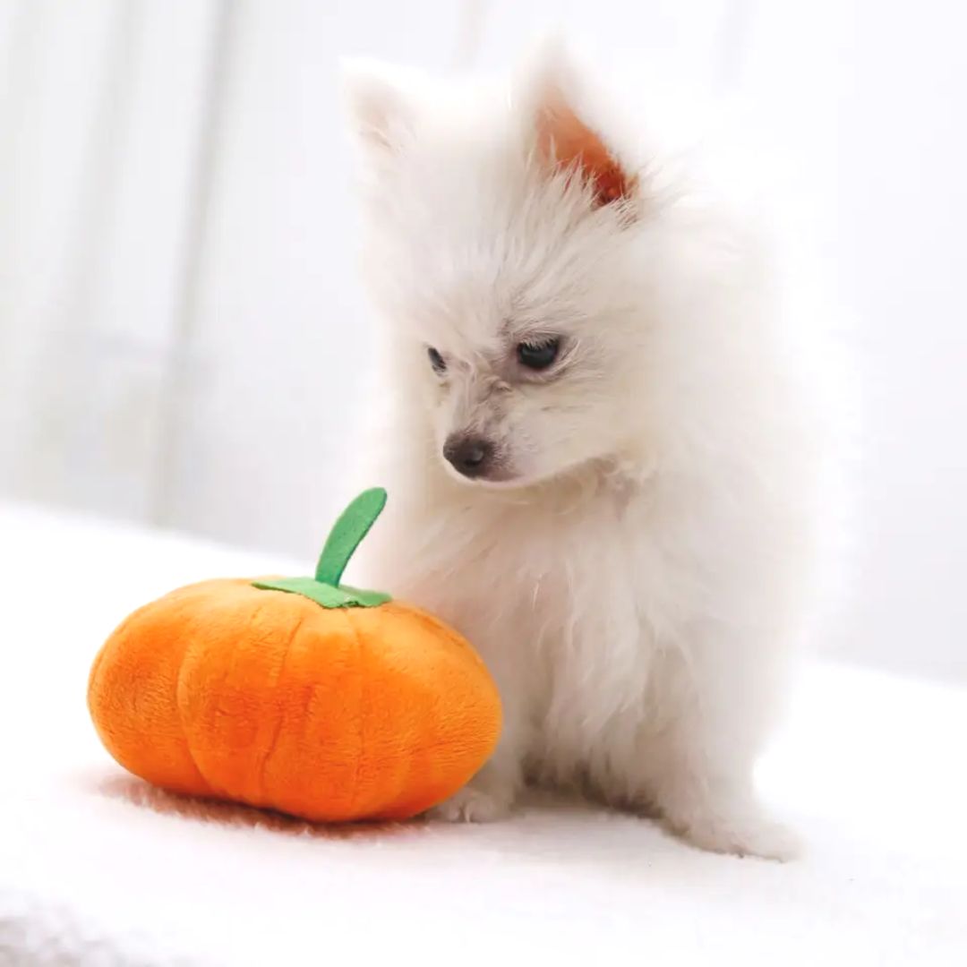 Plush Pumpkin Toy