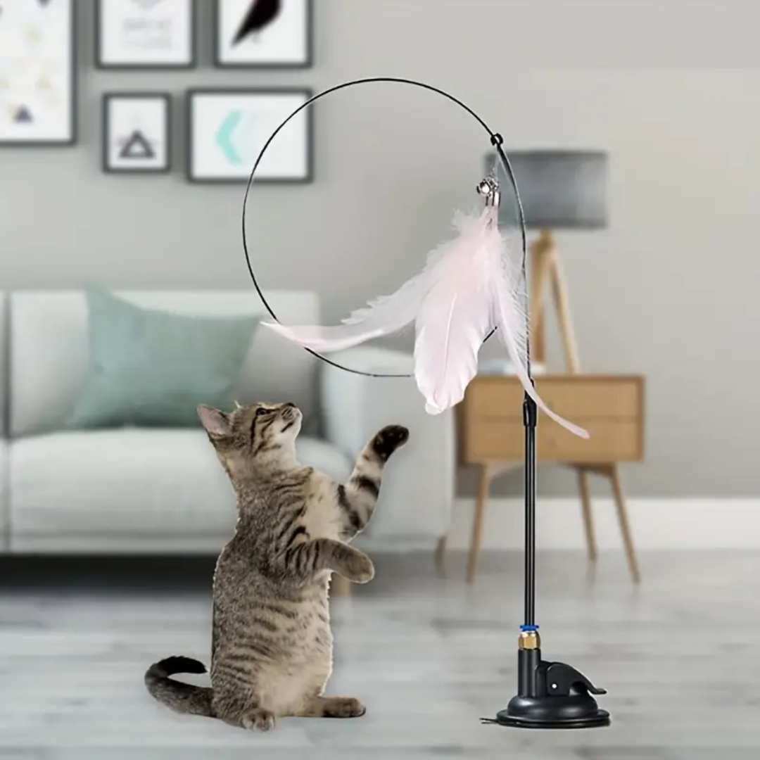 flying cat toy