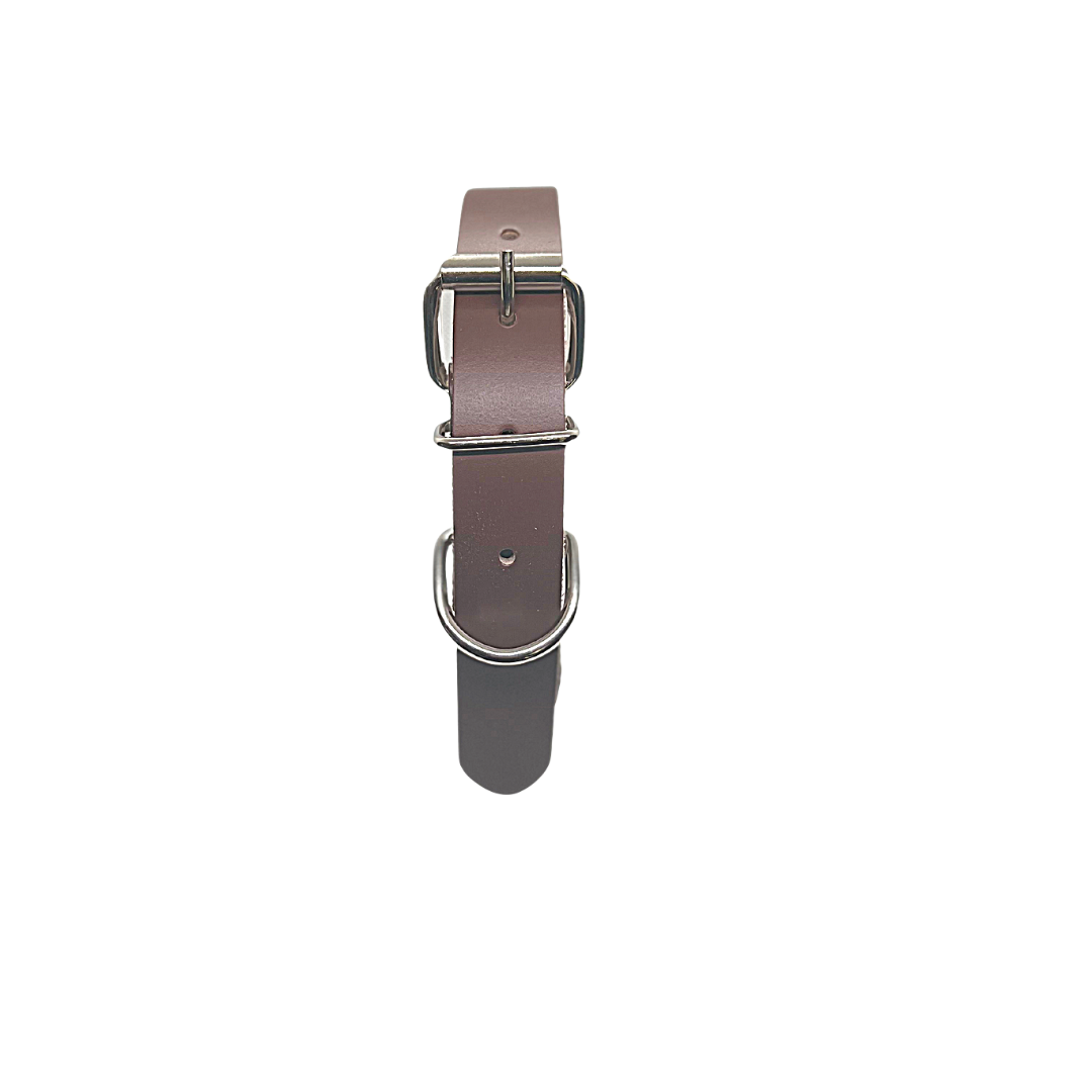 Reflective collar