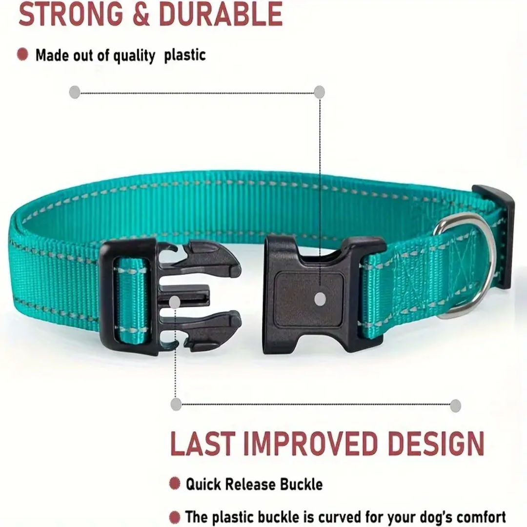 dog collars