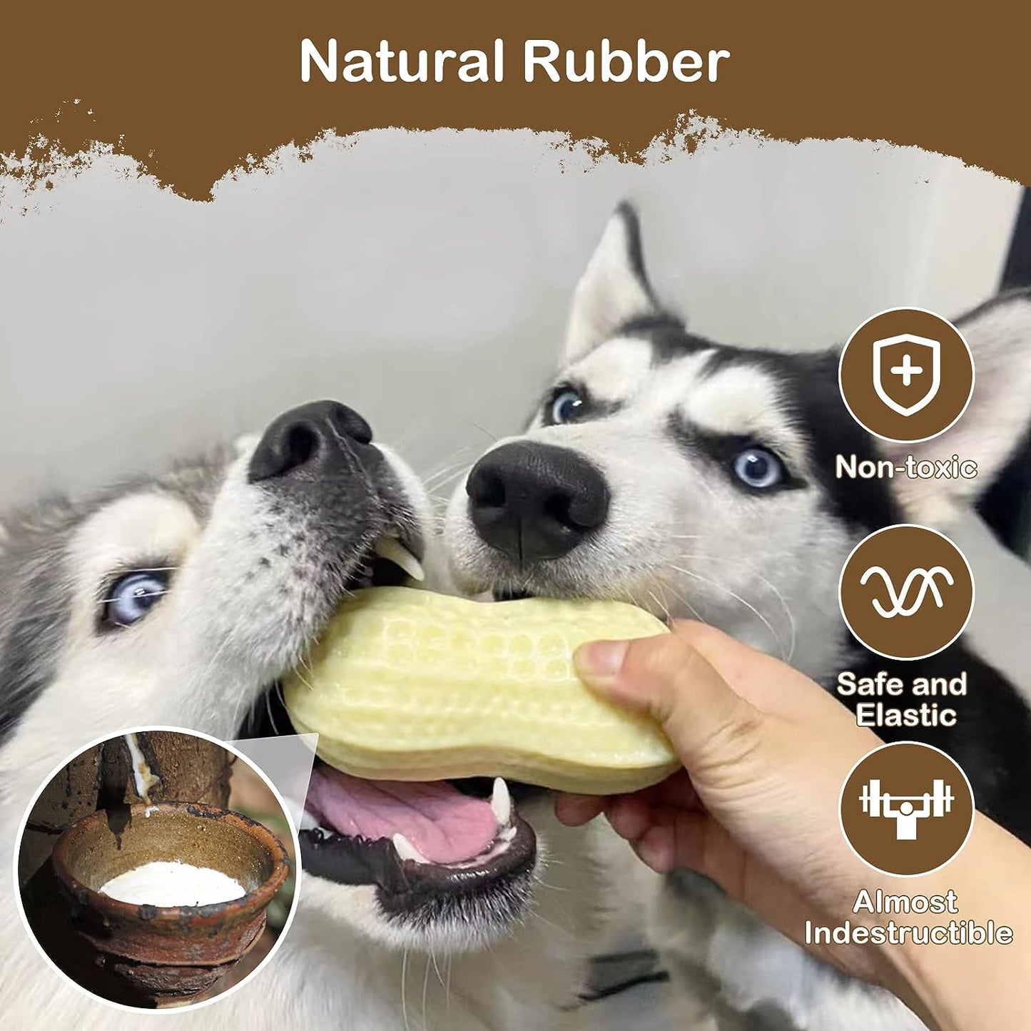dog chew