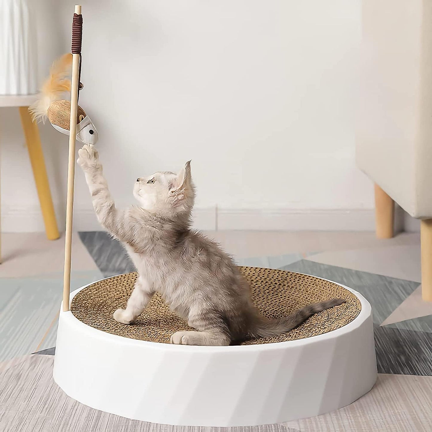 flying cat toy