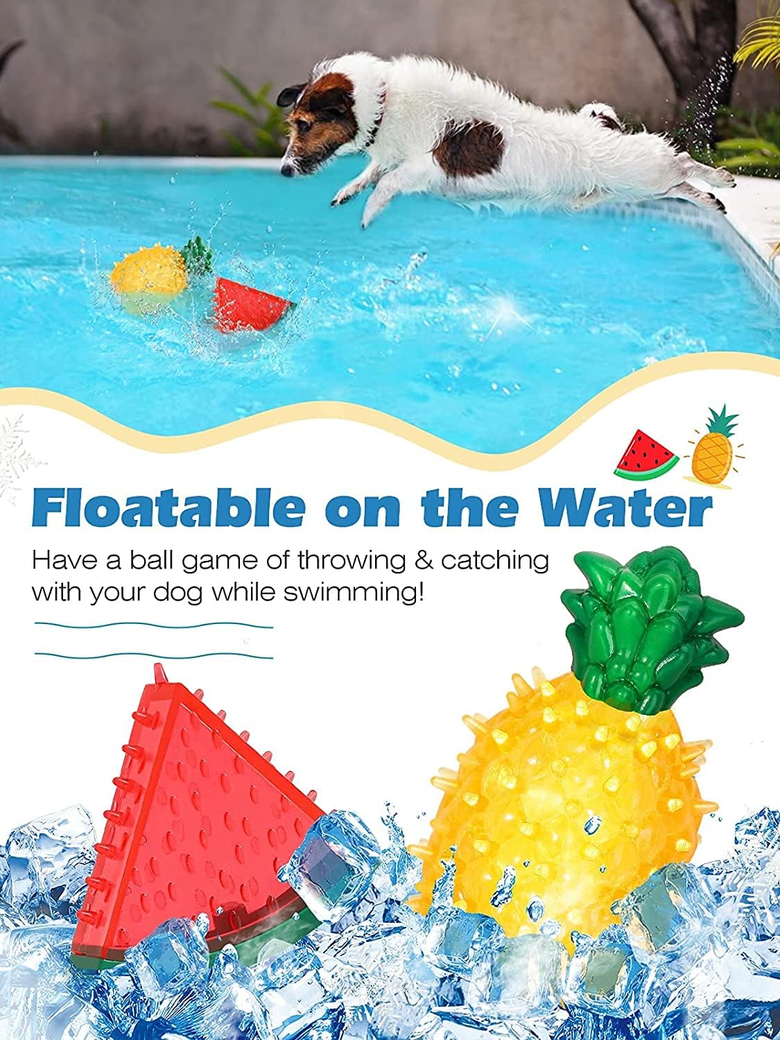 dog toy