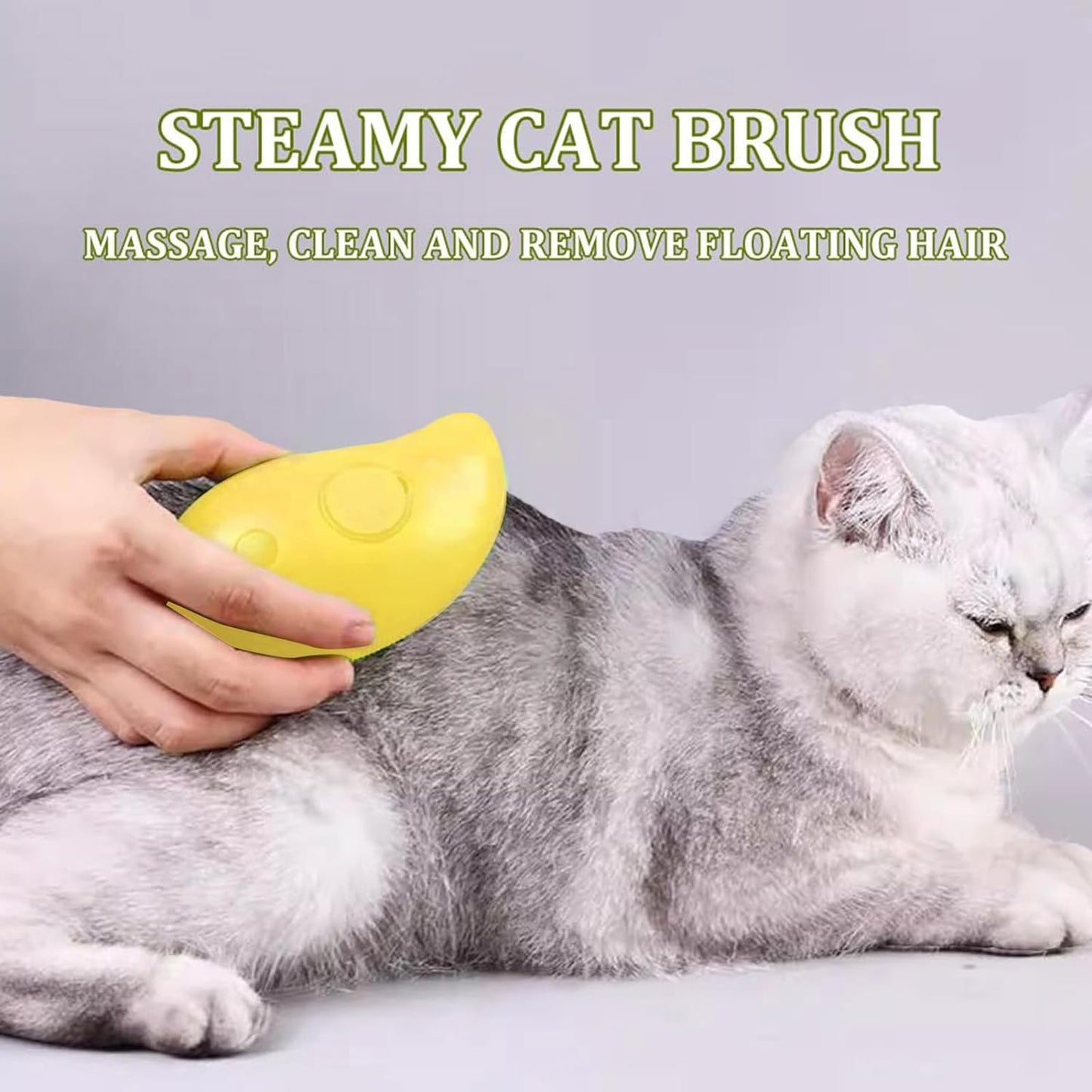 pet brush