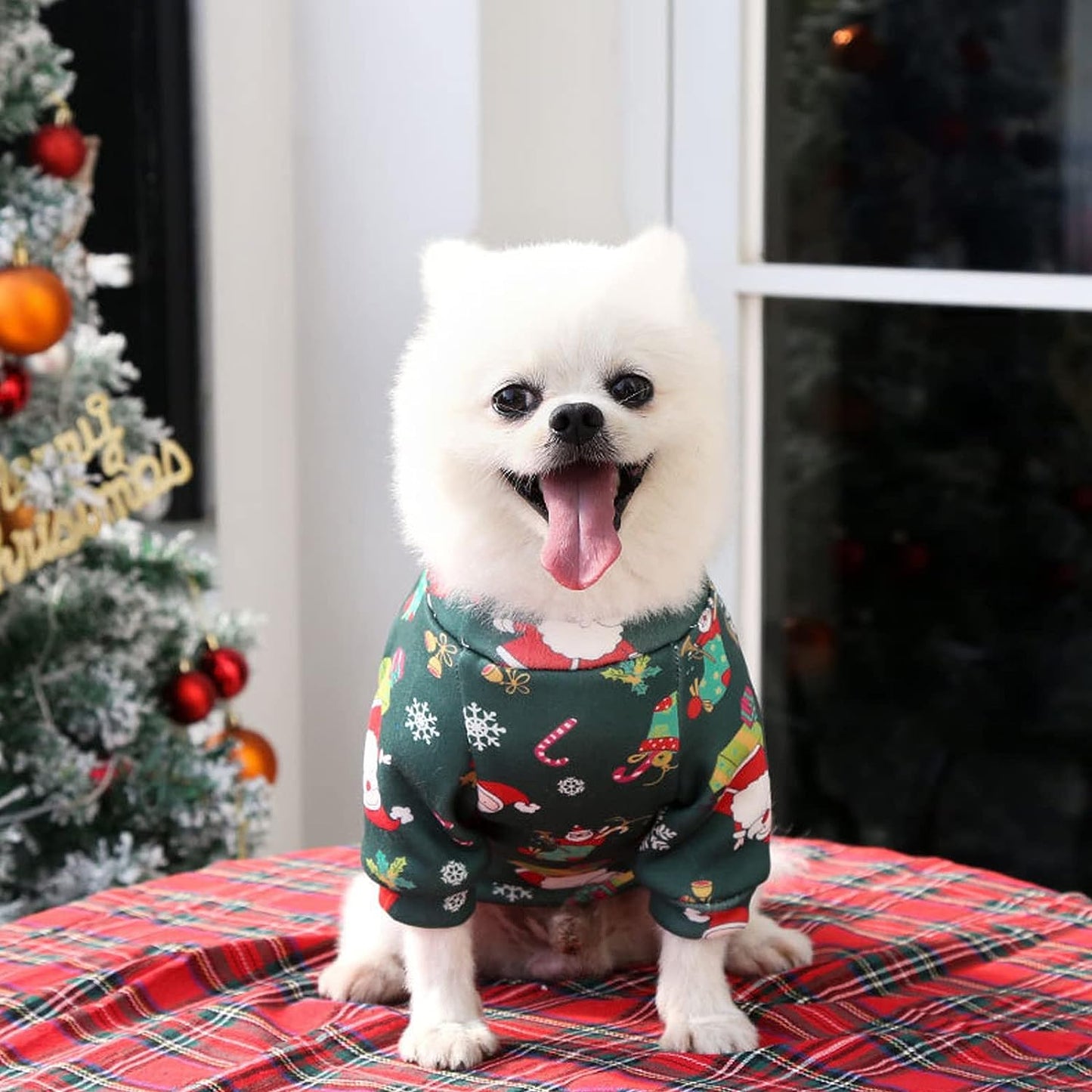Holiday Snuggle: Christmas Pajama Outfit (Green)