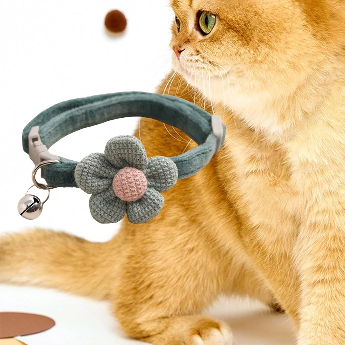 bohemian dog collar