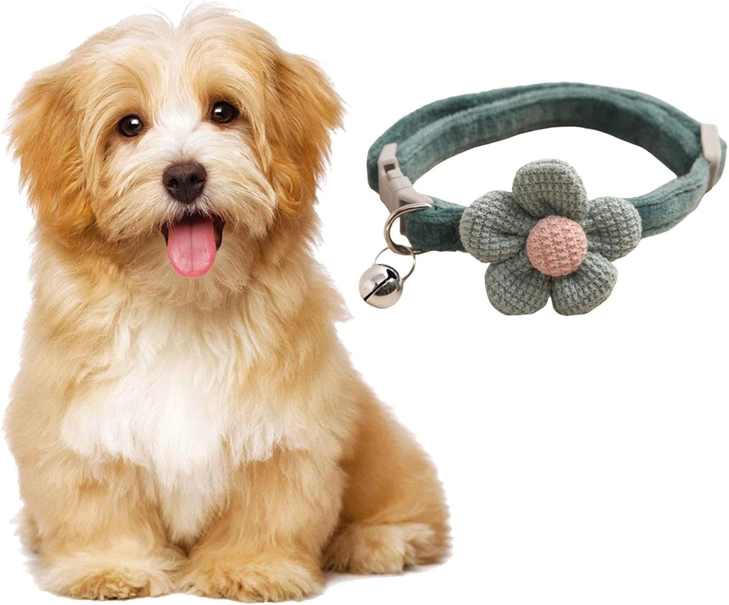 soft dog collar